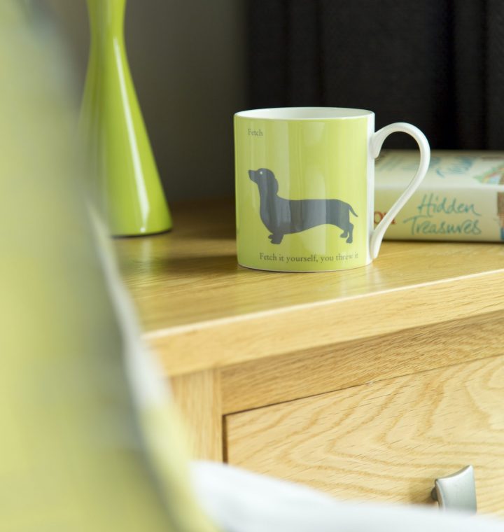 Dog friendly holidays