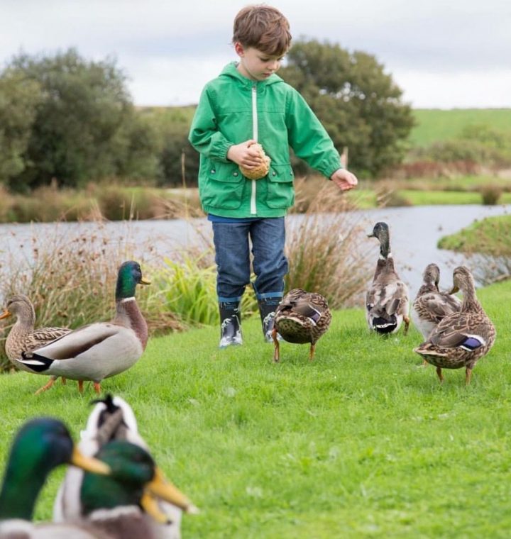 Toddler friendly holidays